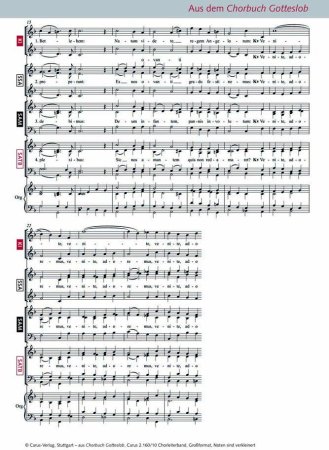 Preview: Notenbeispiel